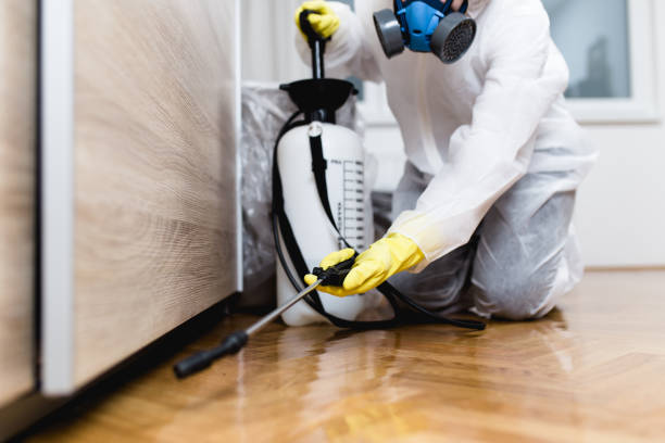 Best Affordable Pest Control Services  in Travilah, MD