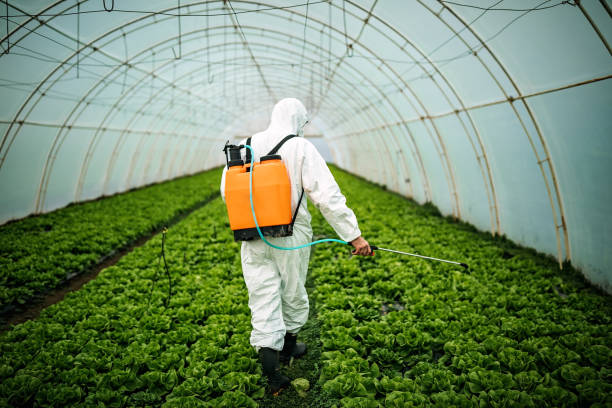 Best Best Pest Control Companies  in Travilah, MD