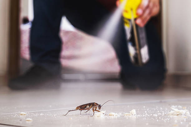 Best Pest Removal Services  in Travilah, MD